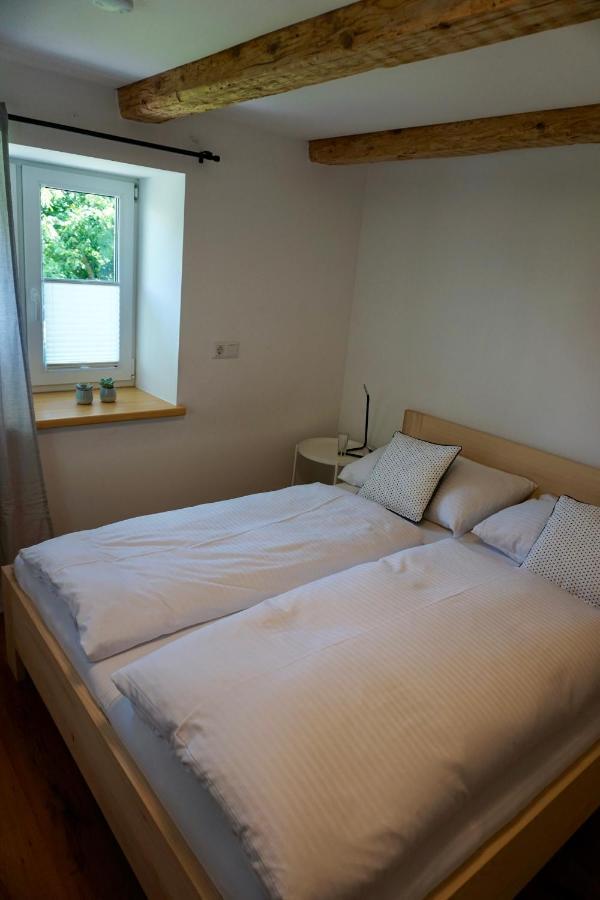 Beeindruckende Wohnung Im Rheintal 거치즈 외부 사진
