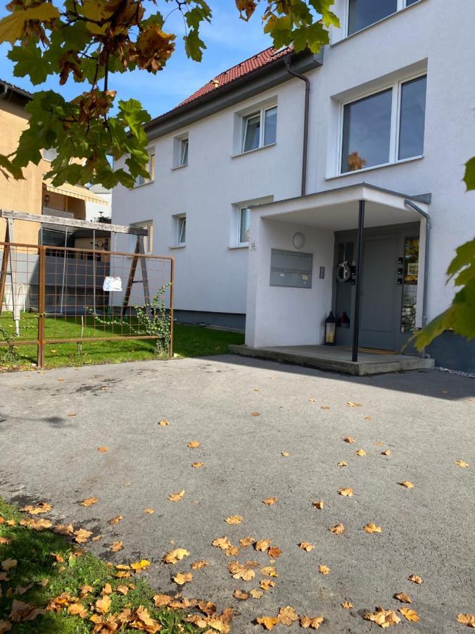 Beeindruckende Wohnung Im Rheintal 거치즈 외부 사진